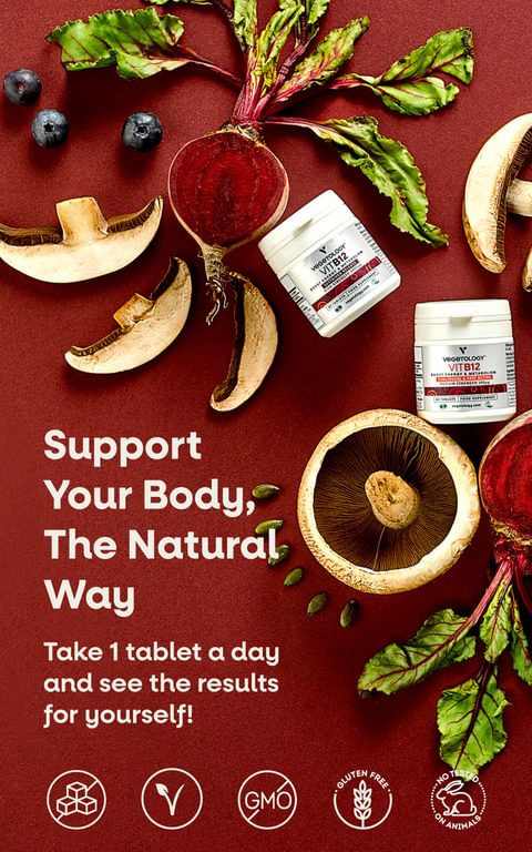 B12 INFO Square 06 13