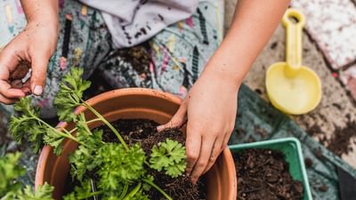 Kids gardening