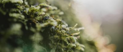 Pexels jack redgate 3657421