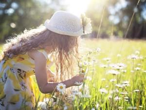 Pexels jill wellington 459051