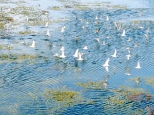 Pexels lanyjade mondou 13383271