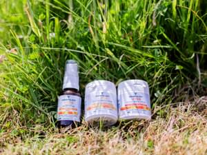 Vegetology June 23 41 2