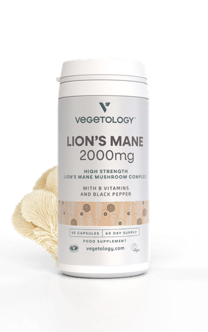 Lion s Mane Imaages 05